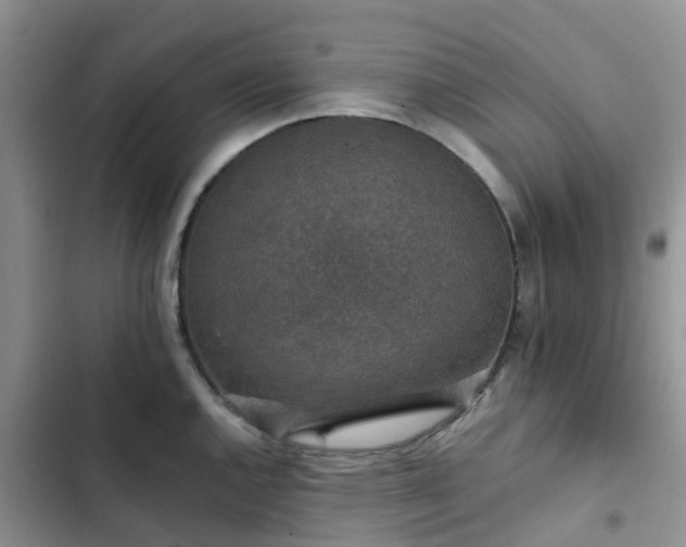 X0000102771144200808251046