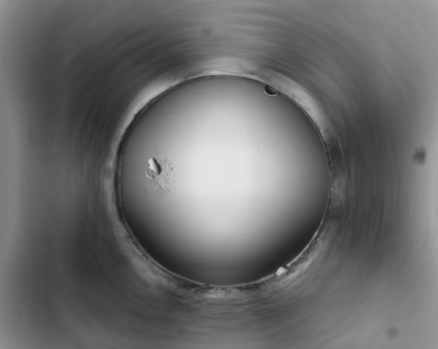 X0000102771146200808251046