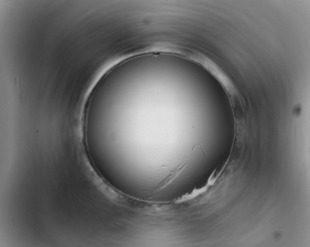 X0000102771148200808251046