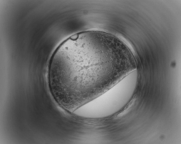 X0000102771149200808251046