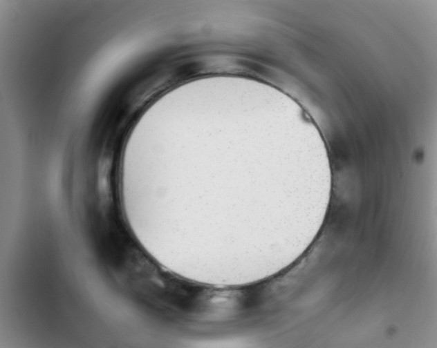 X0000102771150200808251046