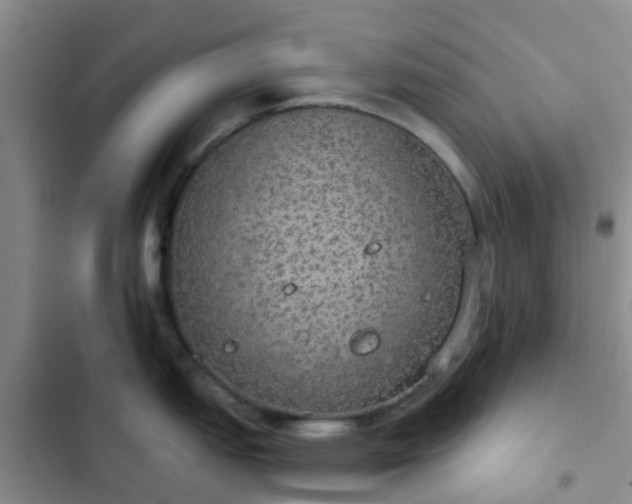 X0000102771151200808251046