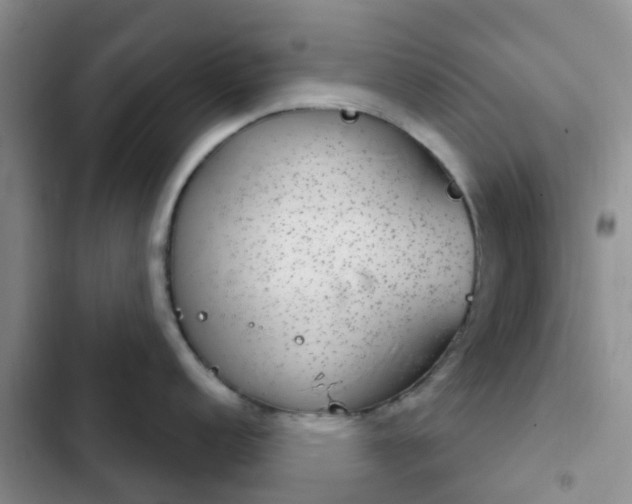 X0000102771152200808251046