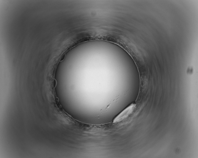 X0000102771153200808251045