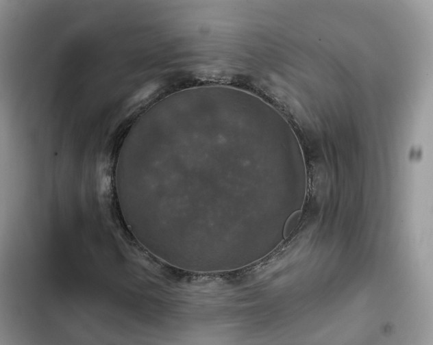 X0000102771154200808251045