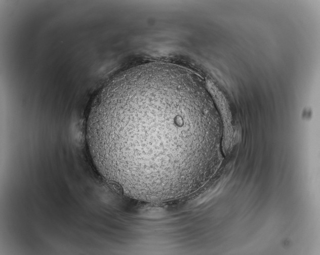 X0000102771156200808251045