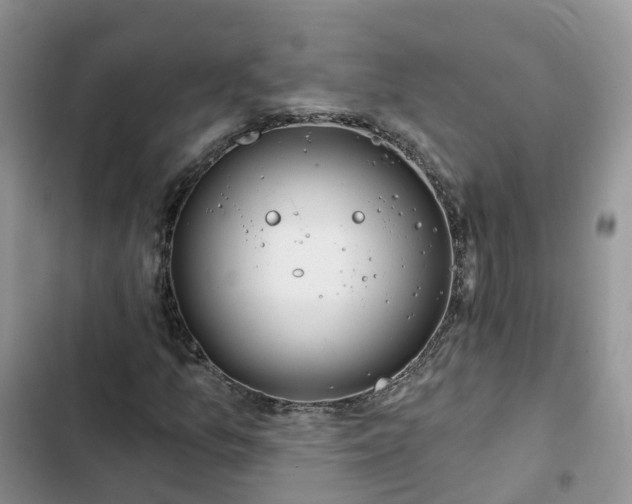 X0000102771157200808251045