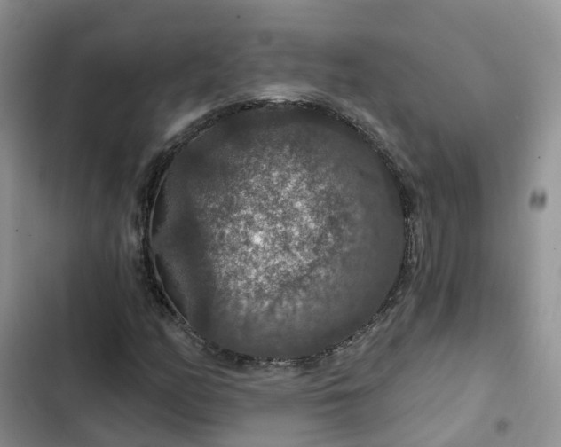 X0000102771158200808251045