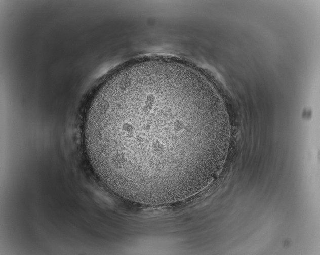 X0000102771159200808251045