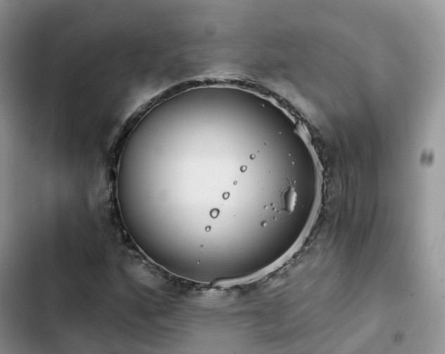 X0000102771160200808251045