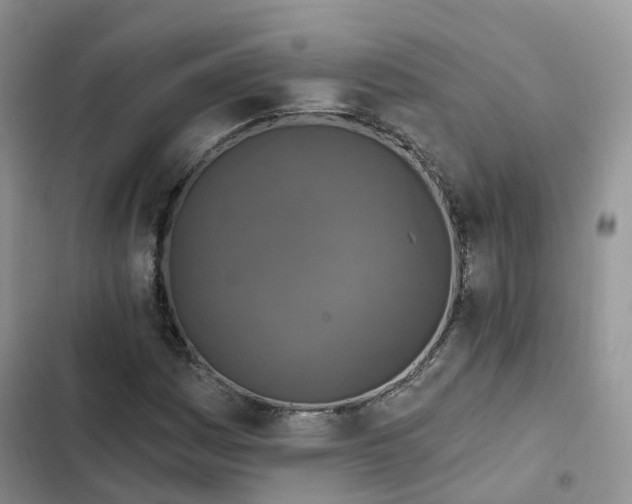 X0000102771161200808251045