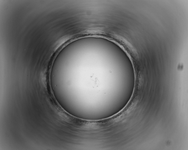 X0000102771162200808251045