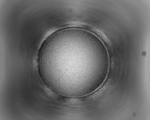 X0000102771164200808251045