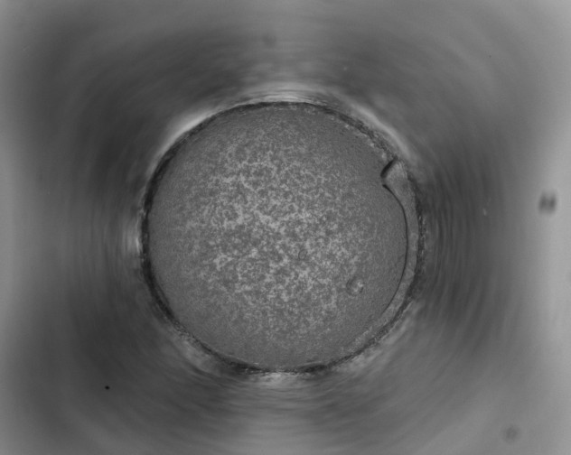 X0000102771166200808251045