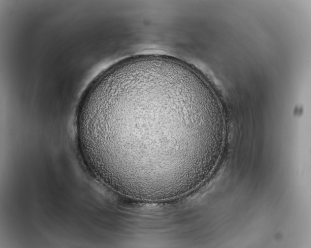 X0000102771167200808251045