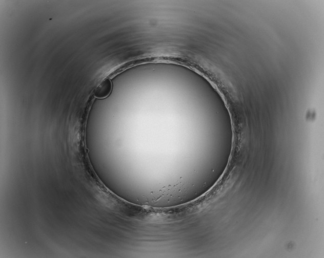 X0000102771169200808251045