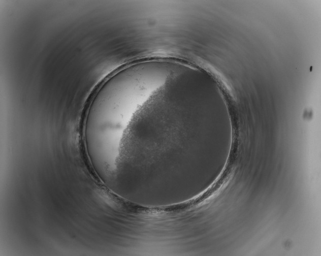 X0000102771170200808251045