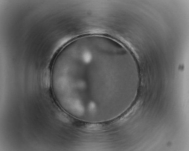 X0000102771171200808251045