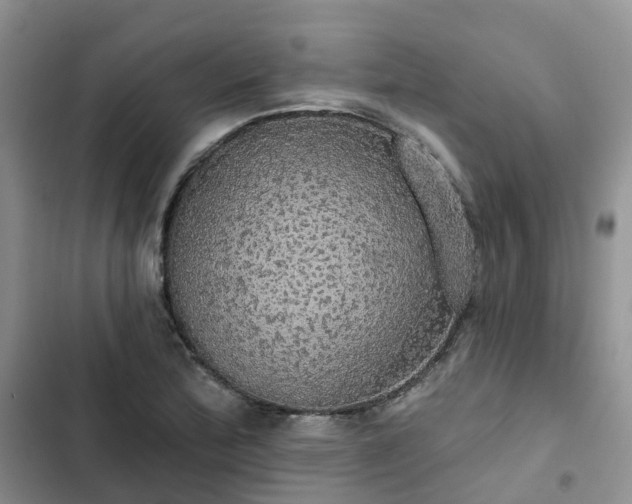 X0000102771172200808251045