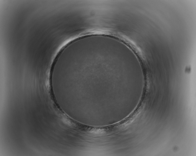 X0000102771174200808251045