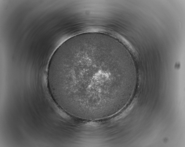 X0000102771178200808251045