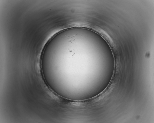 X0000102771182200808251045