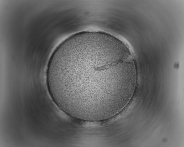 X0000102771183200808251045