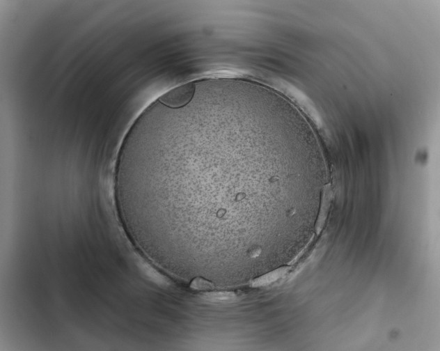 X0000102771186200808251045