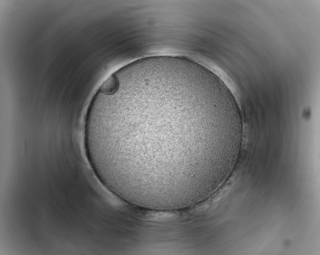 X0000102771187200808251045