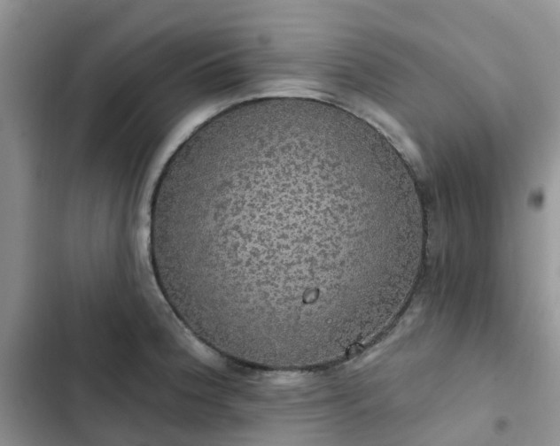 X0000102771188200808251045