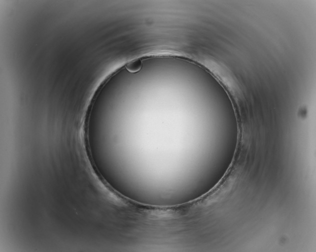 X0000102771189200808251045