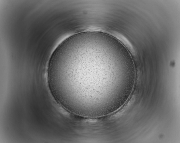 X0000102771190200808251045