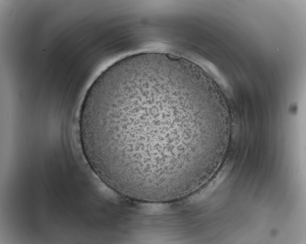 X0000102771192200808251045