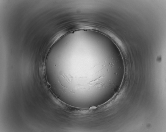 X0000102771193200808251045