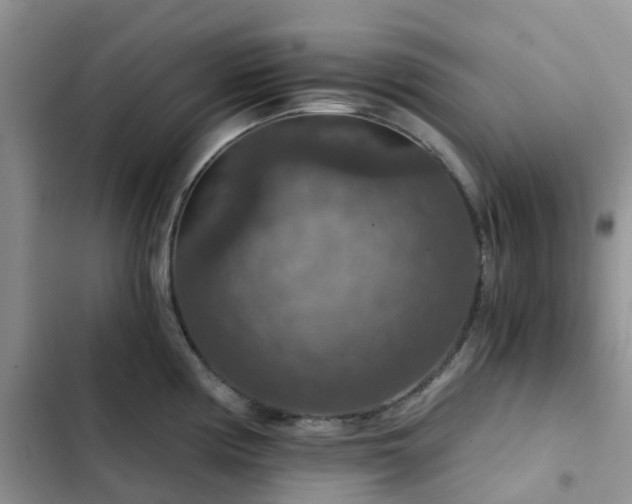 X0000102771194200808251045