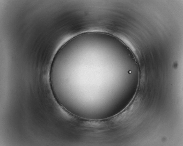 X0000102771197200808251045