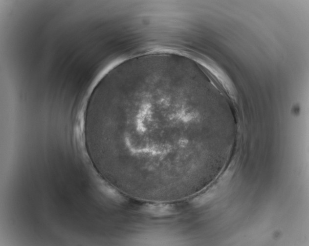 X0000102771198200808251045