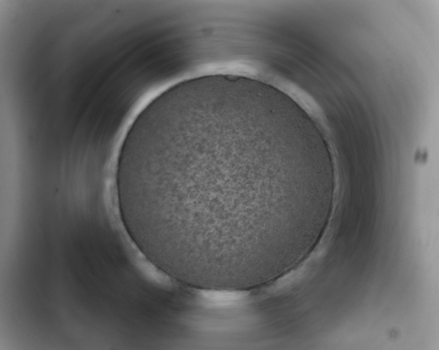 X0000102771200200808251044