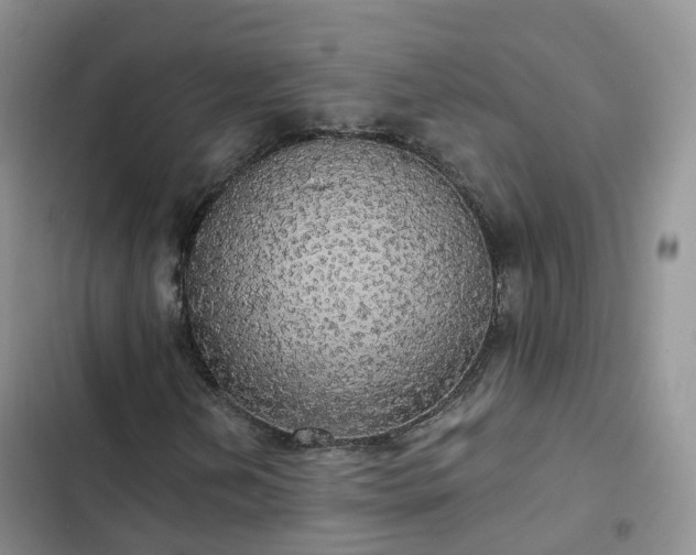 X0000102771202200808251044