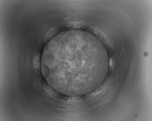 X0000102771203200808251044