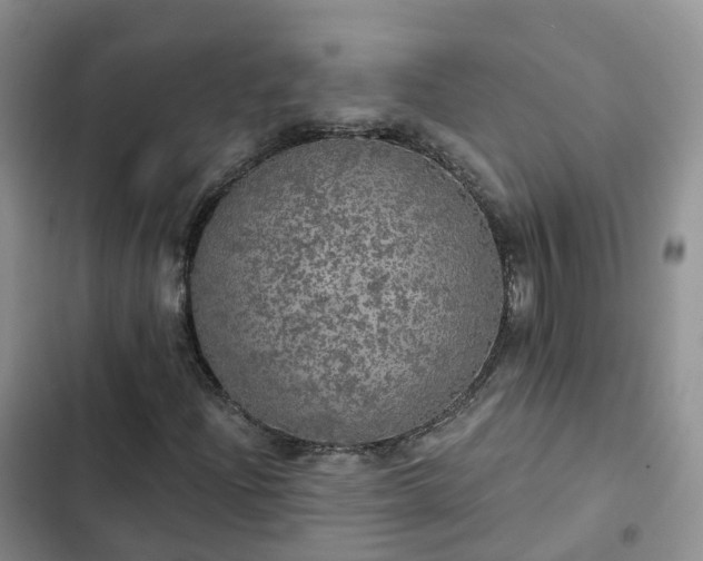 X0000102771204200808251044