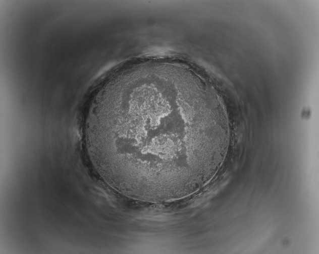 X0000102771206200808251044