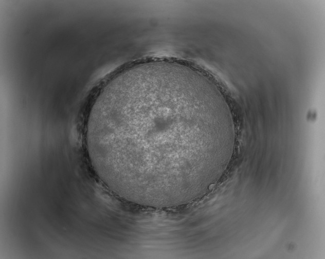 X0000102771207200808251044