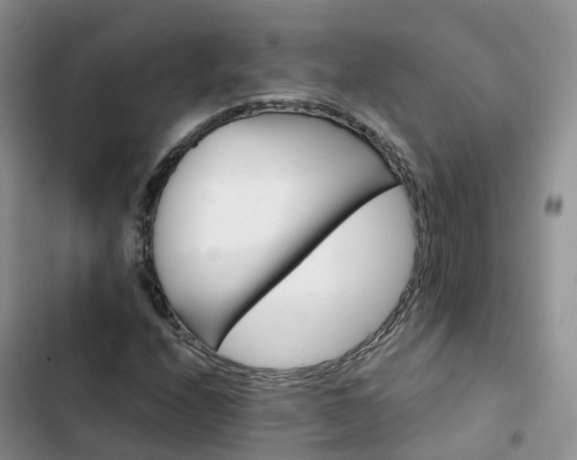 X0000102771208200808251044