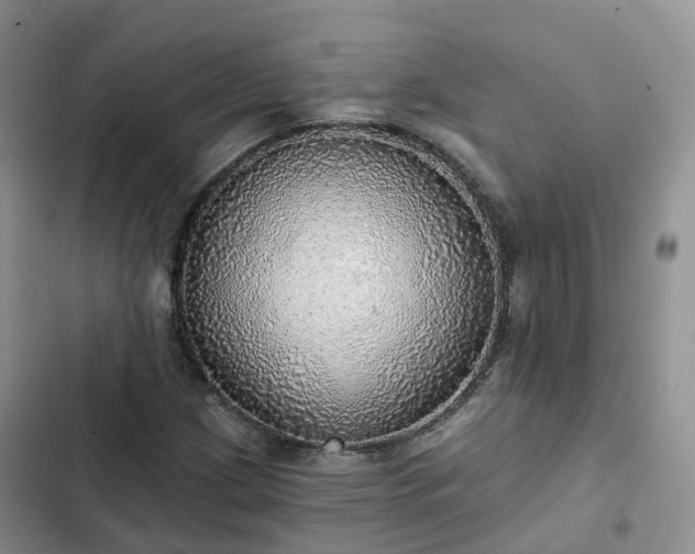 X0000102771209200808251044