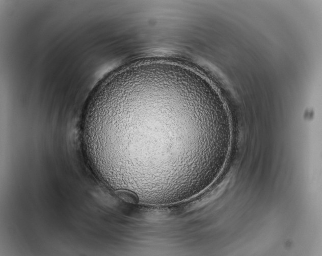 X0000102771210200808251044