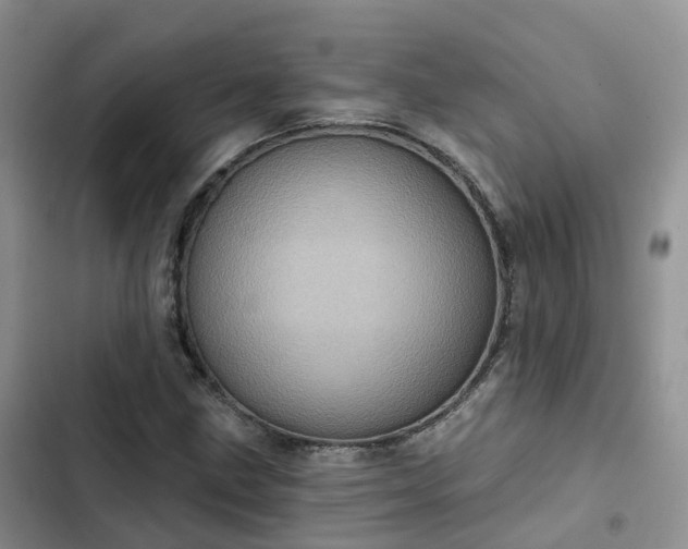 X0000102771211200808251044