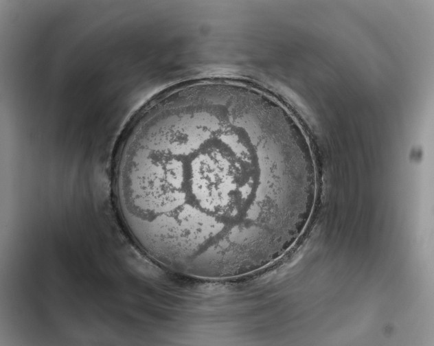 X0000102771212200808251044