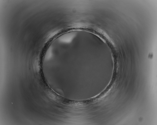 X0000102771213200808251044