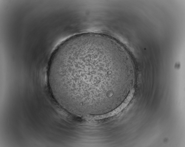 X0000102771214200808251044